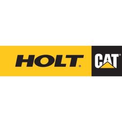 Holt Cat