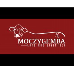 Moczygemba Livestock